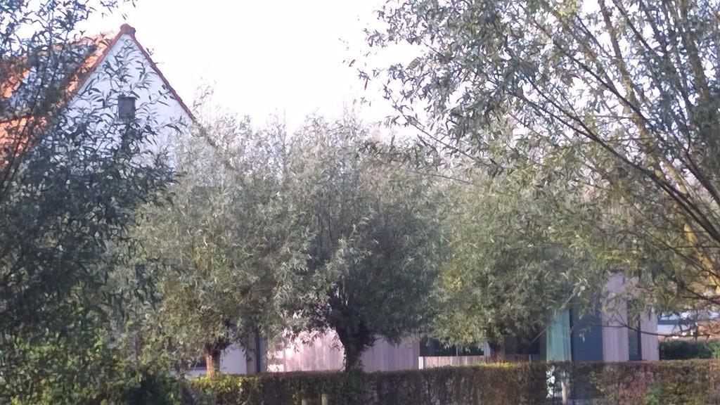 B&B Hier En Nu Heusden Kültér fotó